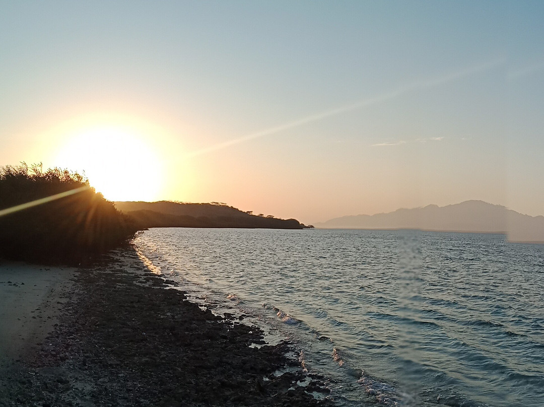 Made Taro - Menjangan Homestay主图