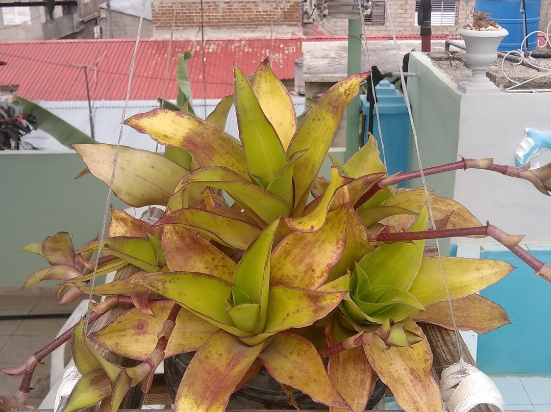 Renta Villa Caribe主图