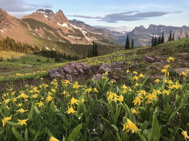 Granite Park Chalet主图