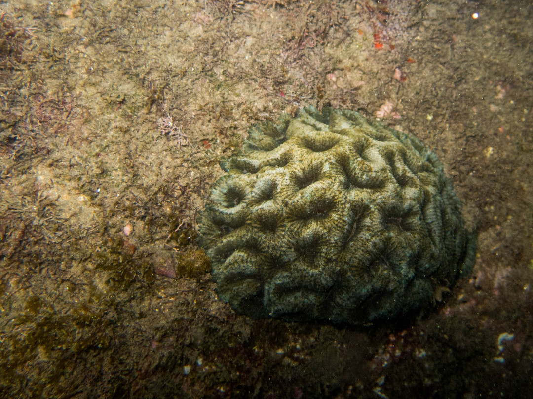 Saco do Eustaquio-伊利亚贝拉必去景点