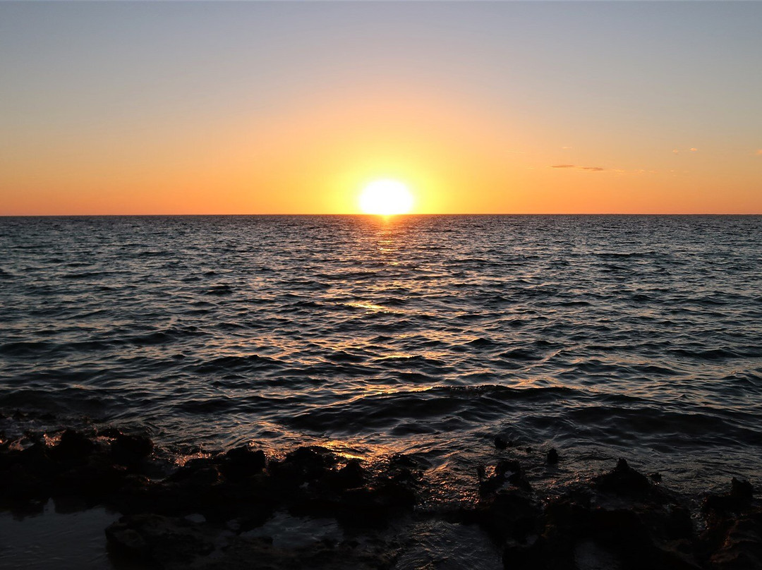 The Coral Bay Shark Nursery-珊瑚湾必去景点