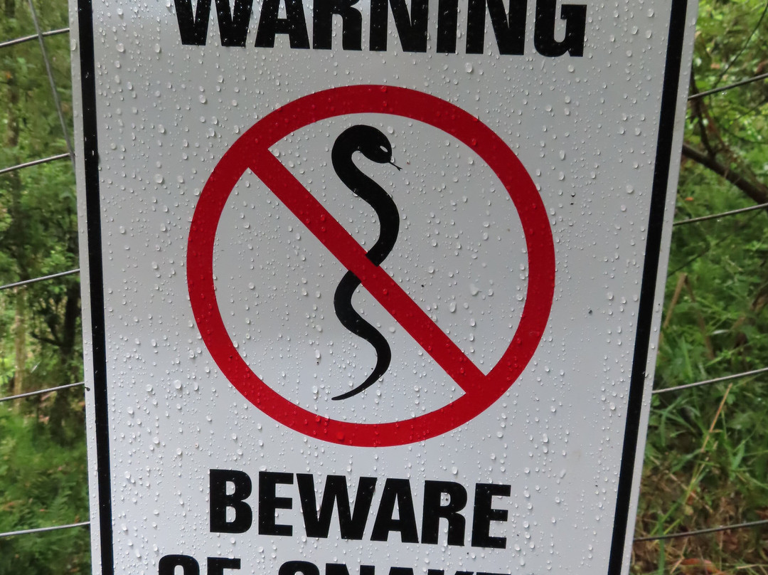 Olinda Falls-奥林达必去景点