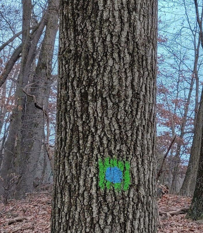 Deer Lakes Park景点图片