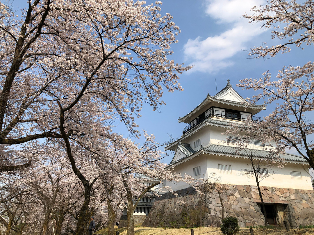 Yukyuzan Park-长冈市必去景点