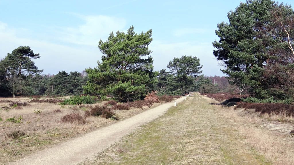 Kootwijkerzand-Kootwijk必去景点