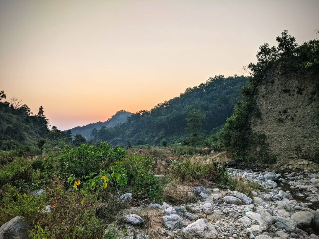 Aagman Sal Forest Lodge主图