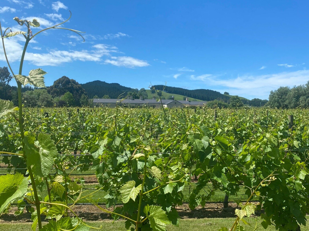 The Winemaker's Tour-Eskdale必去景点