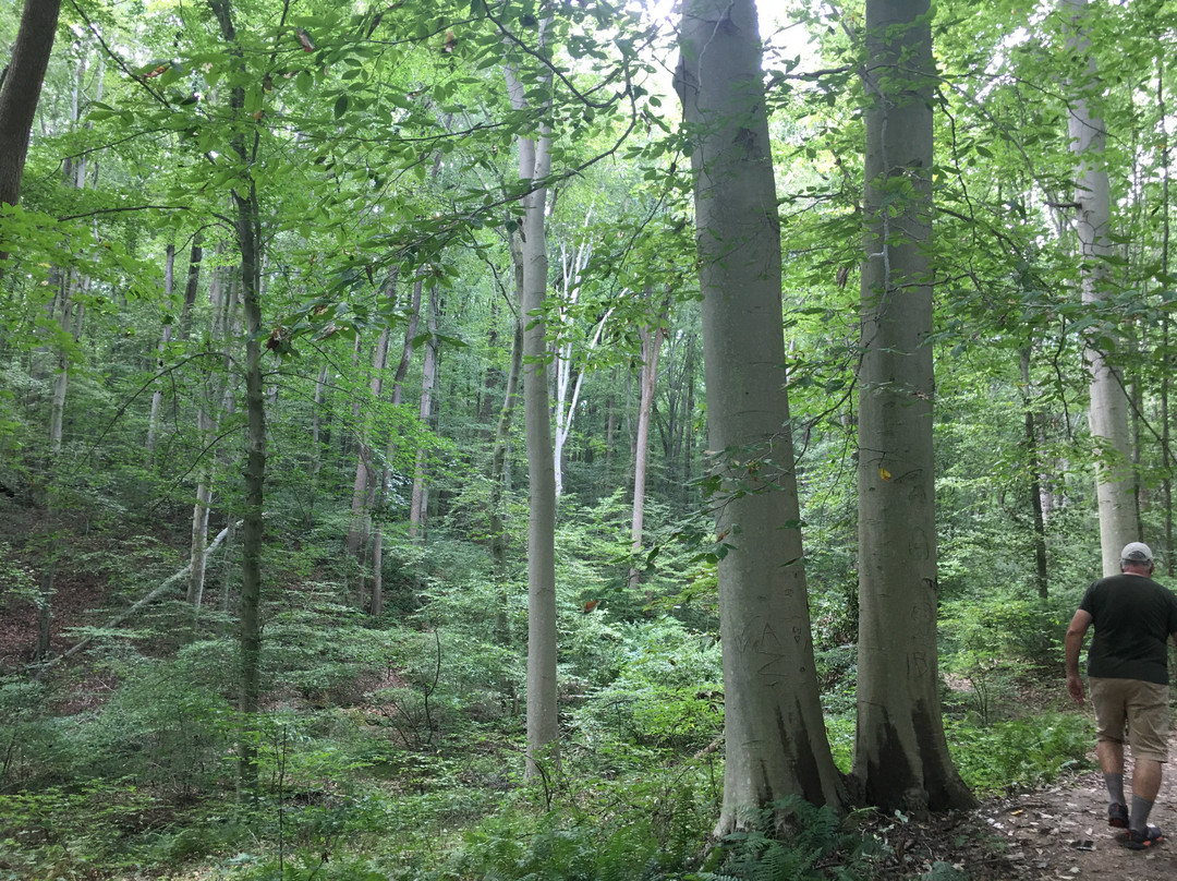White Clay Creek State Park景点图片