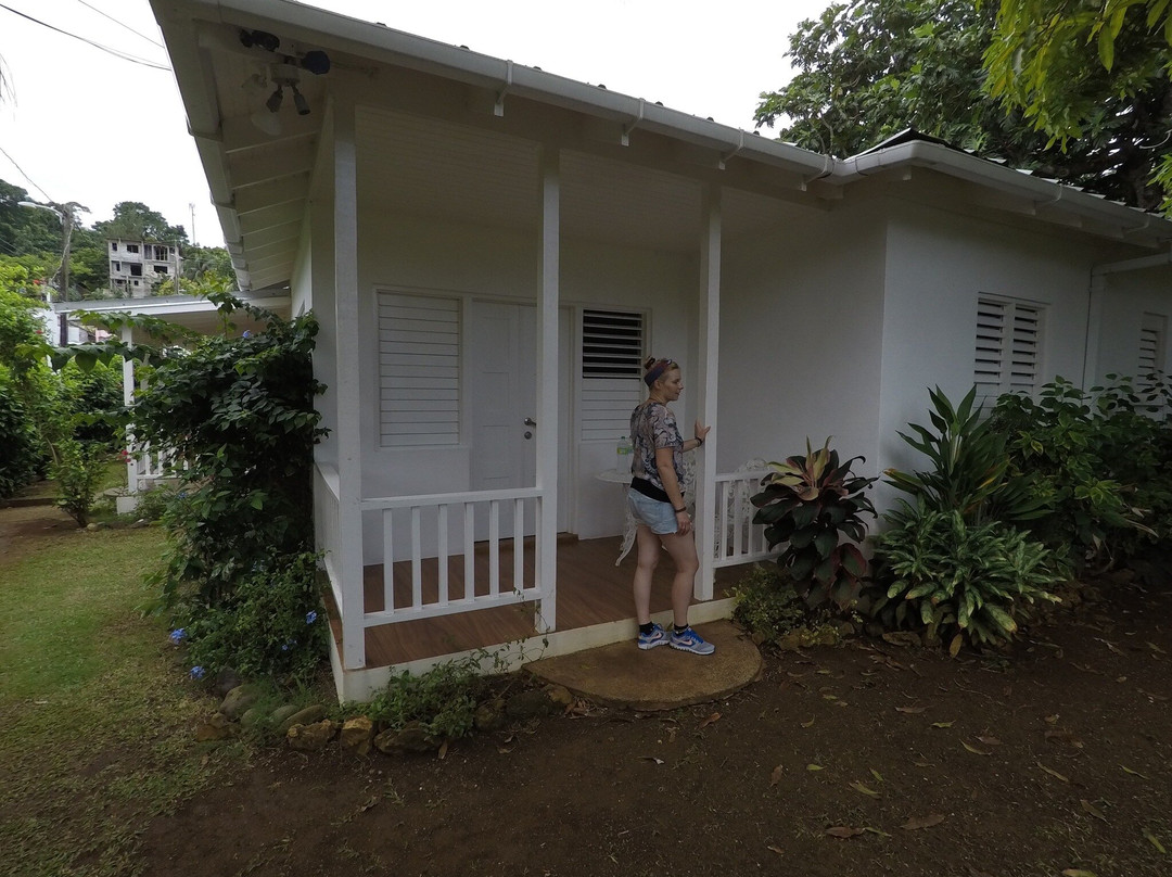 Search-Me-Heart主图