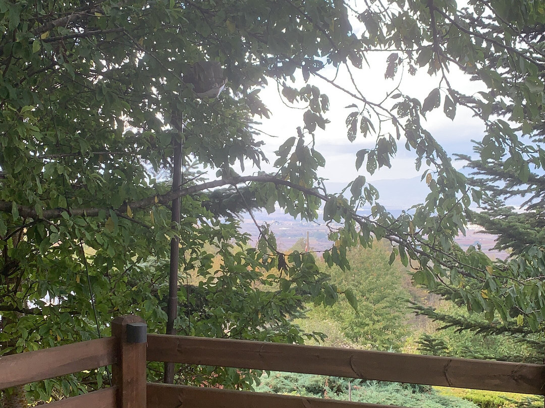 Villa Neva Hotel主图