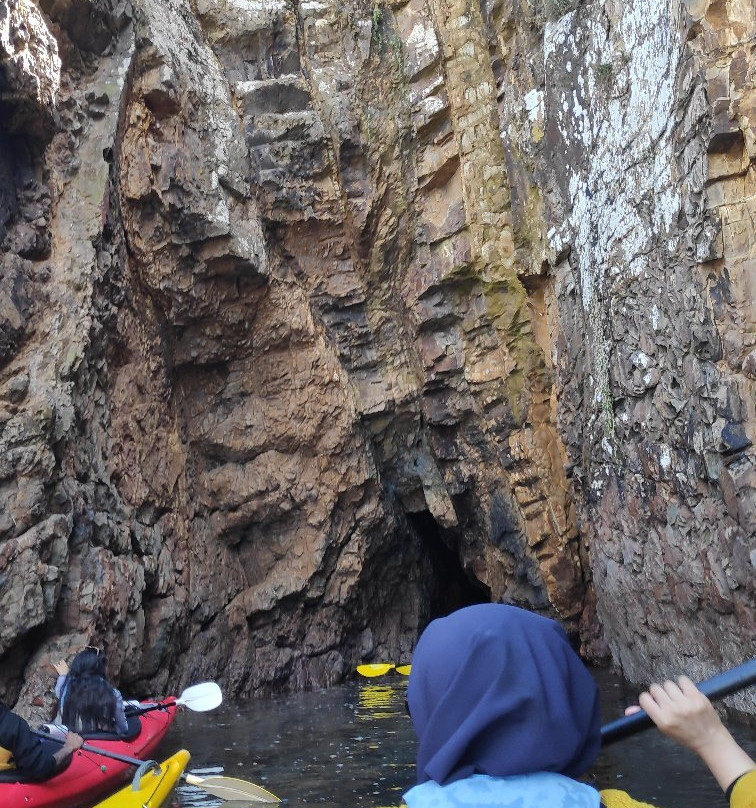 Akaroa Guided Kayak Safari景点图片