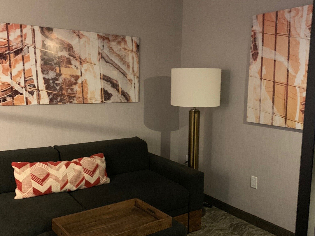 SPRINGHILL SUITES CINCINNATI BLUE ASH主图