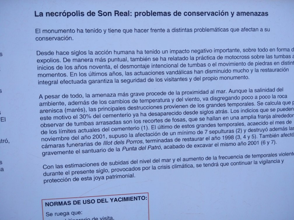 Necròpolis de Son Real景点图片