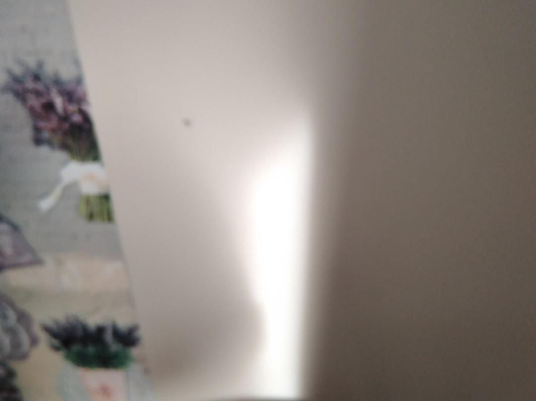 Le Clos des Medievales主图