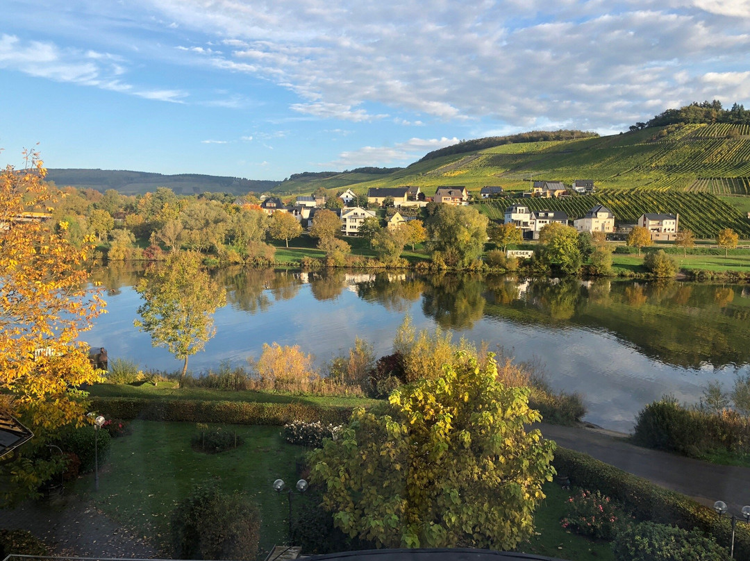 Wellness & Genuss Hotel Weisser Bär主图
