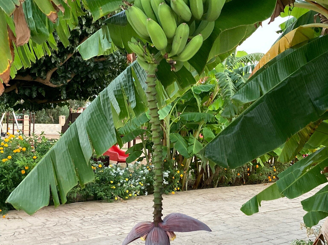 Ionion Beach Hotel & Apartments主图