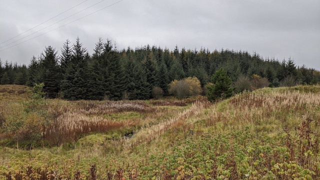 Wilsontown Ironworks