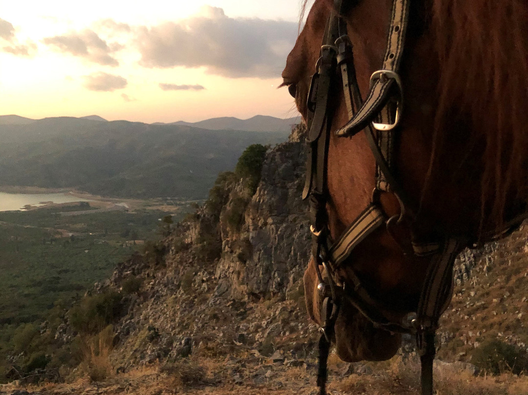 Odysseia Stables-Avdou必去景点