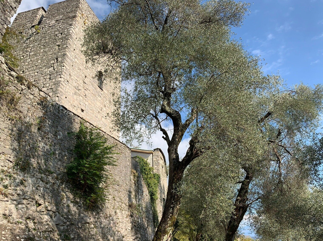 Torre Del Soccorso Detta Del Barbarossa-特雷梅佐必去景点