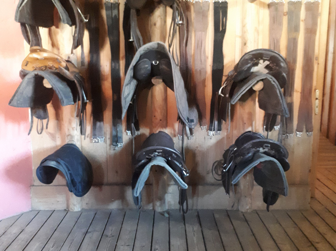 Espaces Equestres Henson景点图片