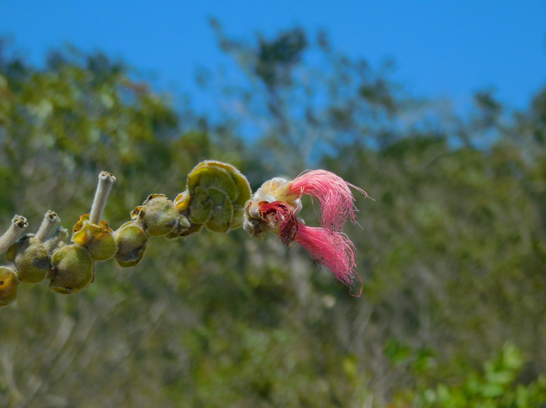 Cachoeira do Cochó-Piata必去景点