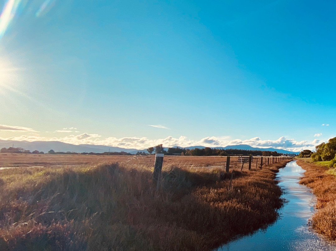 Wairau Lagoons Walkway景点图片