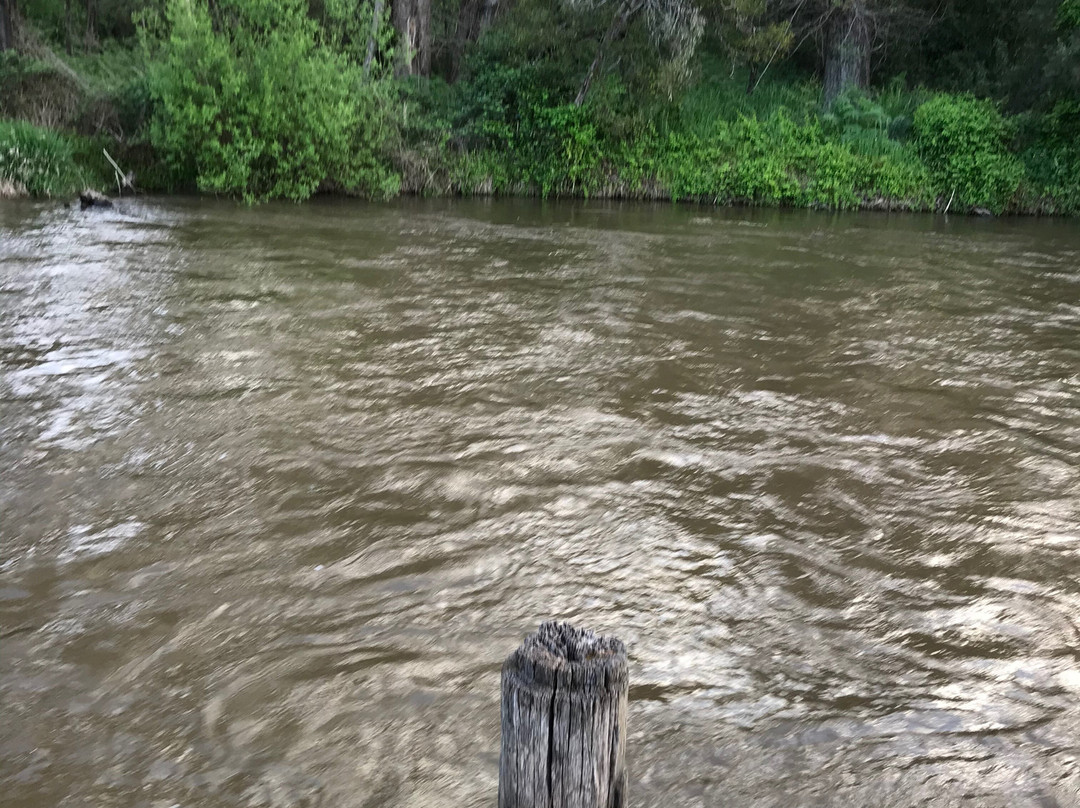 Riverside Park-Porepunkah必去景点