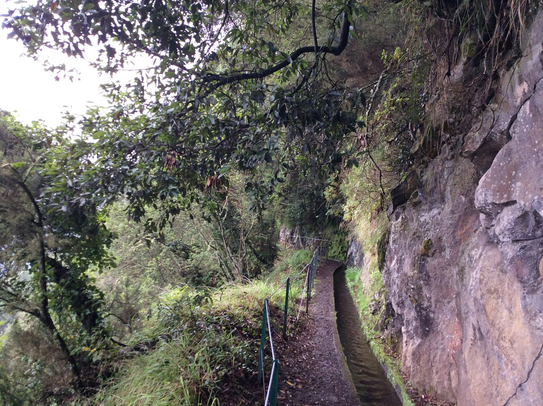 Lokoloko - Mountain Bike & Outdoor Tours-Canico必去景点