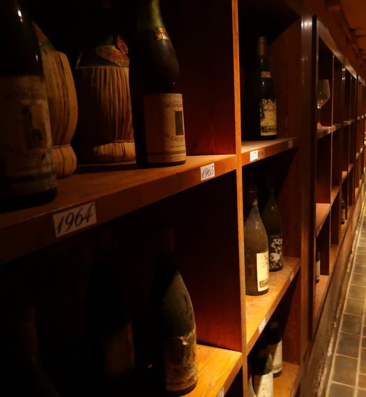 Buonamico Wine Resort主图