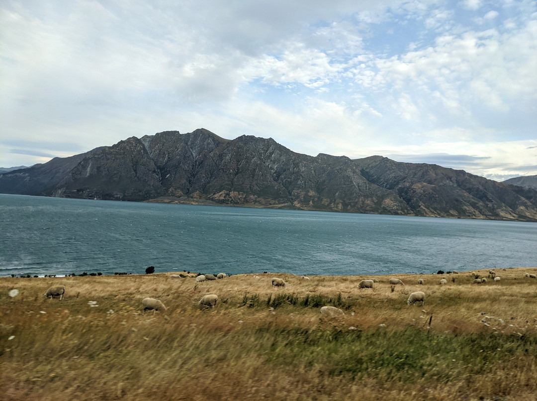 Lake Hawea-Lake Hawea必去景点
