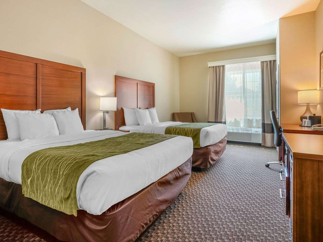 Comfort Inn & Suites Galt - Lodi North主图