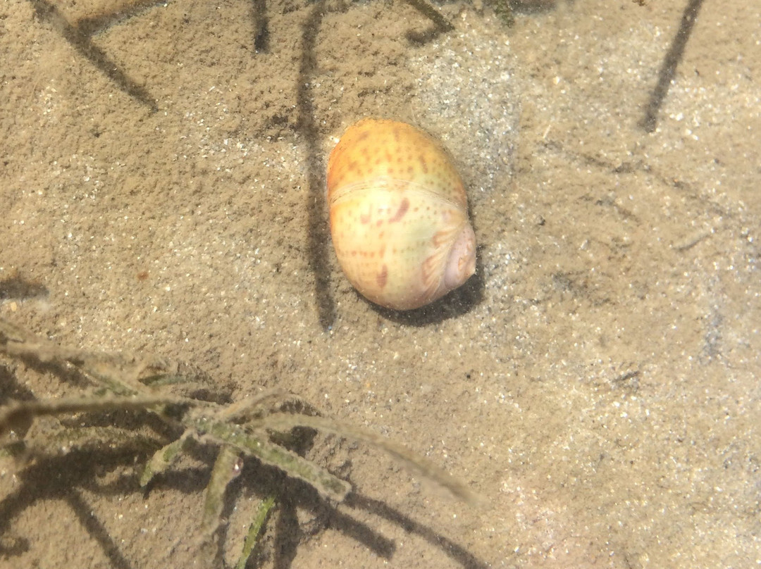 Eco Afrika Tours-Goukamma必去景点