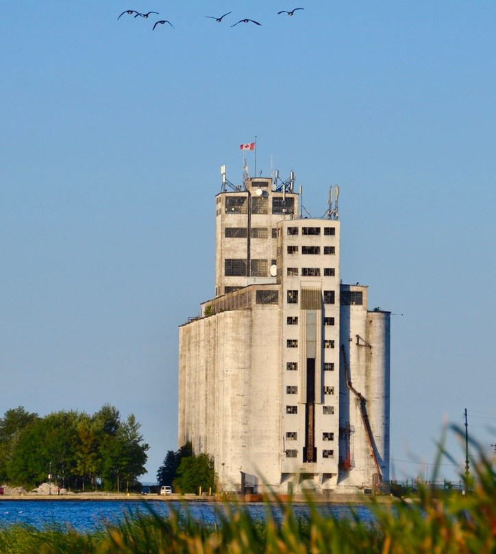Collingwood Arboretum-科林伍德必去景点