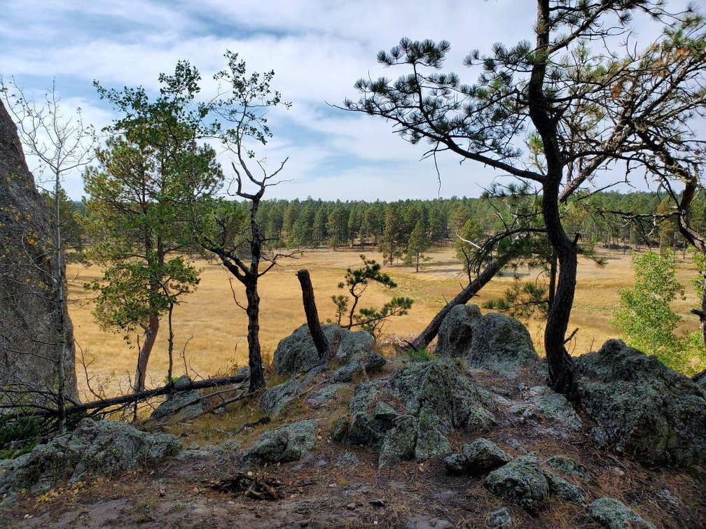 Hollingsworth Horses-卡斯特必去景点