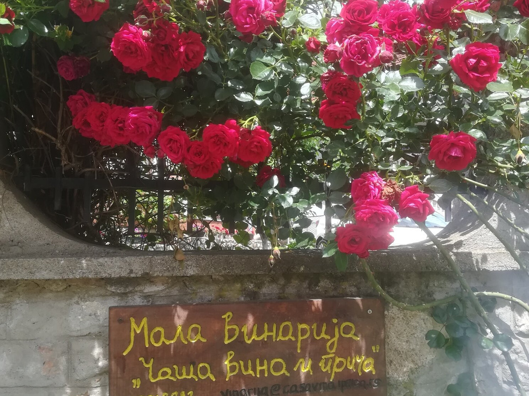 Paracin旅游攻略图片