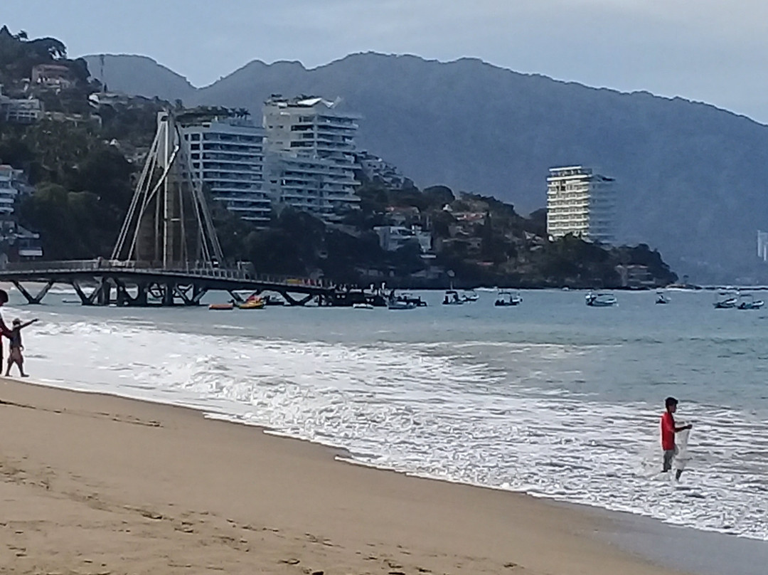 Muelle de Playa Los Muertos景点图片