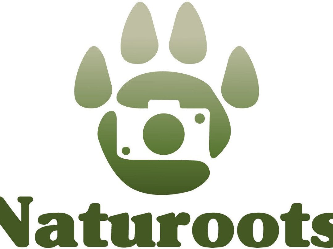 Naturoots景点图片