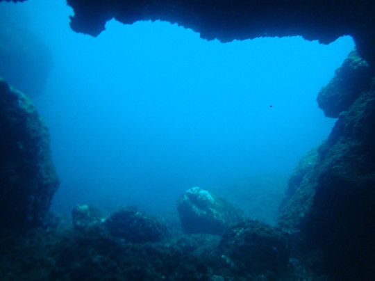 Porto Conte Diving Center-阿尔盖罗必去景点