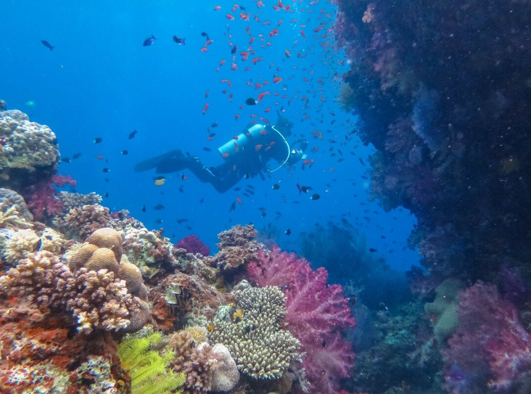 Ocean Ventures Fiji-萨武萨武必去景点