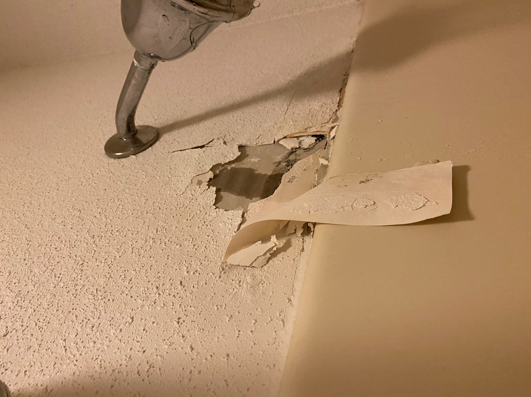 Super 8 by Wyndham Chatsworth/Dalton主图