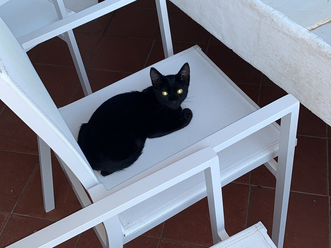 Entu Beach Bar-Castiadas必去景点