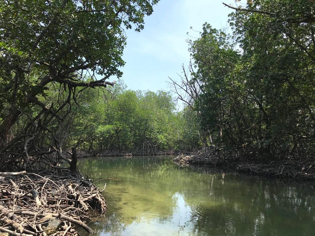 Sangiang Island景点图片