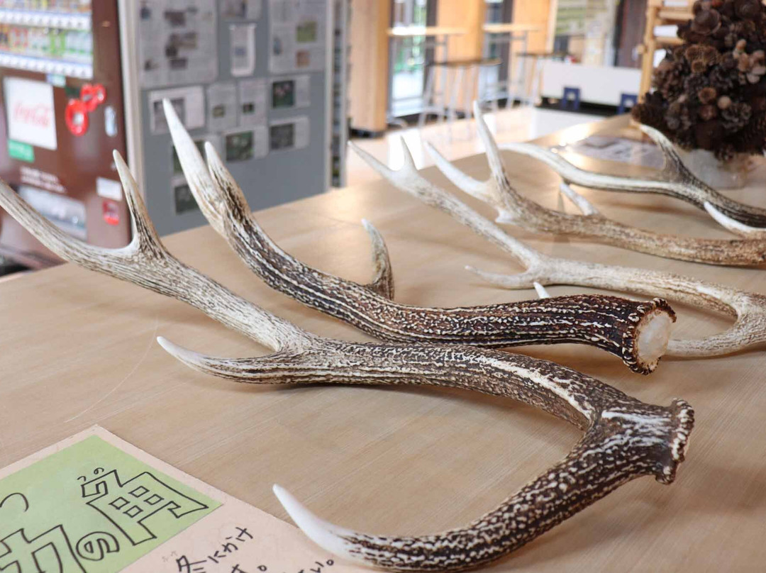 Onnenai Visitor Center-鹤居村必去景点