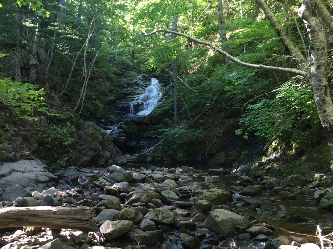 MacIntosh Brook Trail-Pleasant Bay必去景点