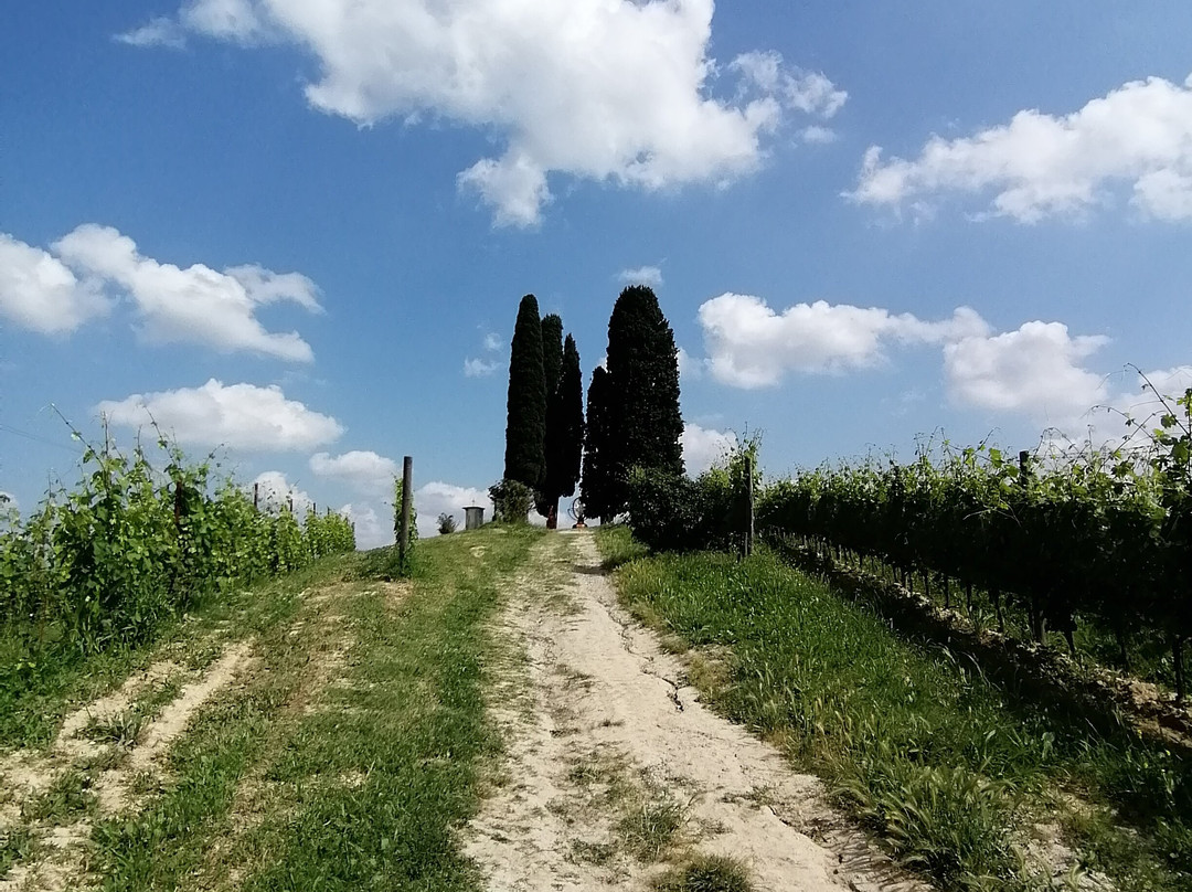 Art Park La Court-Castelnuovo Calcea必去景点