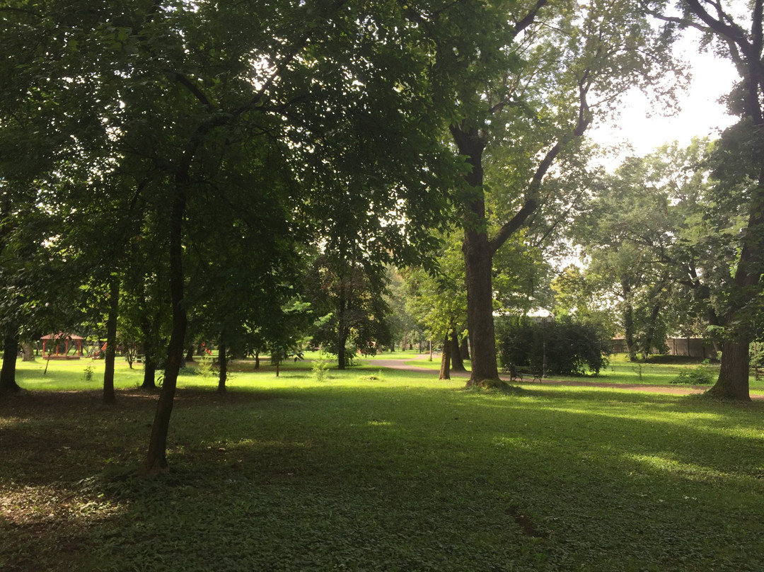 Parc Dendrologic景点图片