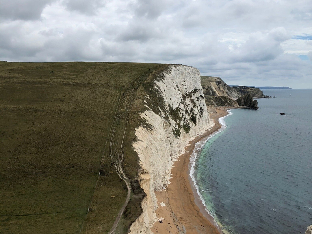 South West Coast Path- Lulworth Cove & The Fossil Forest Walk景点图片