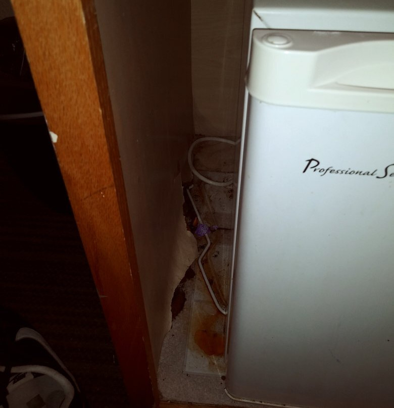 Travelodge by Wyndham Matteson主图