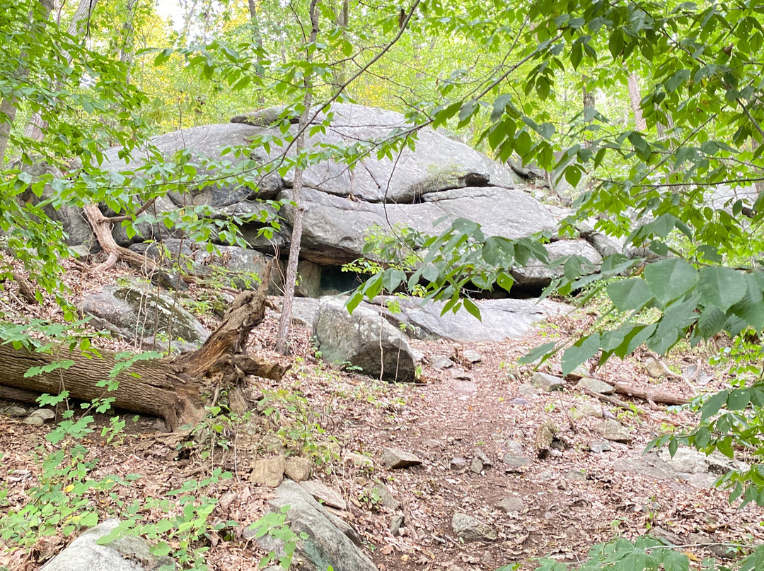Tourne County Park景点图片