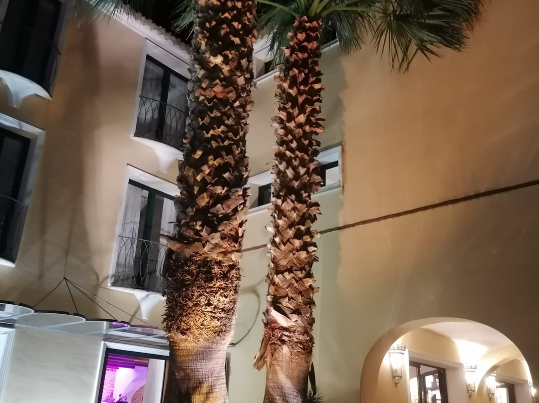 阿尔巴塔萨酒店主图